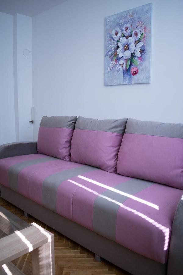 Gerardus Apartmani Vrsac Exteriör bild